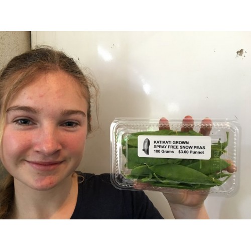 SPRAY FREE SNOW PEAS  100 Gram Punnet 